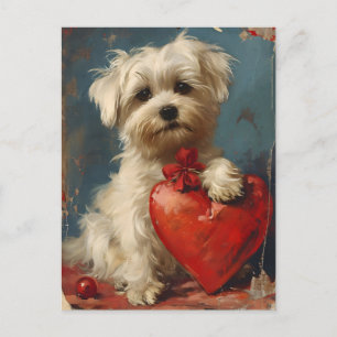 Carte Postale Chien maltais Vintage Saint Valentin