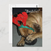 Carte Postale Chien Mastiff Anglais Bashé Avec Des Antlers De Ri (Devant / Derrière)