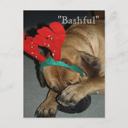 Carte Postale Chien Mastiff Anglais Bashé Avec Des Antlers De Ri (Devant)
