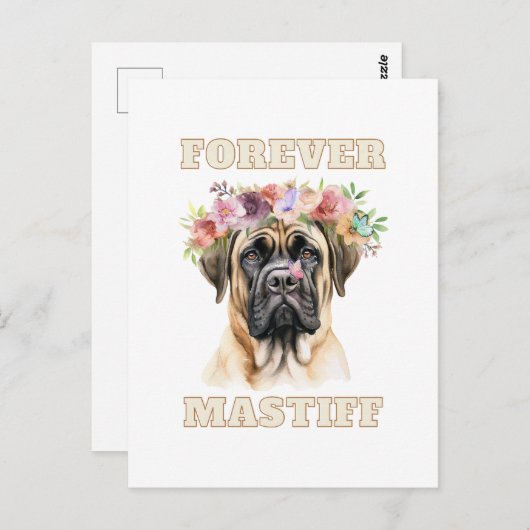Carte Postale Chien mastiff anglais mignon et drôle avec des fle (Devant / Derrière)