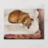 Carte Postale Chien mentant | Zygmunt Waliszewski (Devant)