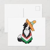 Carte Postale Chien Mexicain Sombrero Et Poncho Cinco De Mayo (Devant / Derrière)