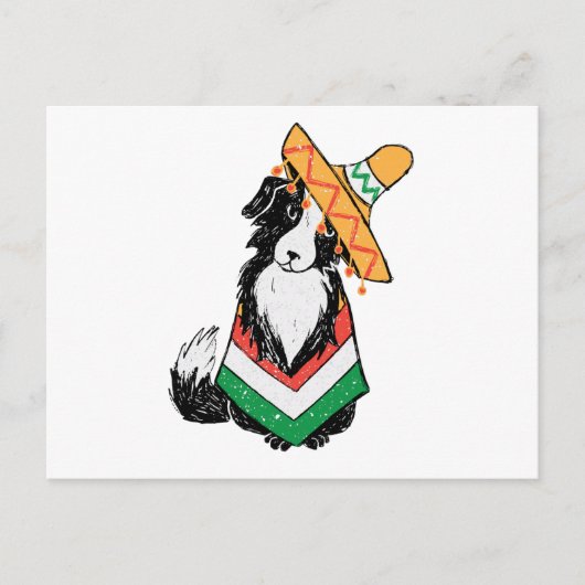 Carte Postale Chien Mexicain Sombrero Et Poncho Cinco De Mayo (Devant)