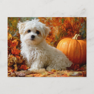Carte Postale Chien Mignon Automne Citrouille Feuilles D'automne