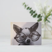 Carte Postale Chien mignon avec lunettes surdimensionnées (Debout devant)