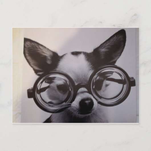 Carte Postale Chien mignon avec lunettes surdimensionnées (Devant)