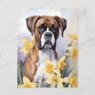 Carte Postale Chien mignon De Boxe Avec Daffodiles Jaunes Aquare