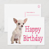 Chien Mignon Drôle Anniversaire Chihuahua