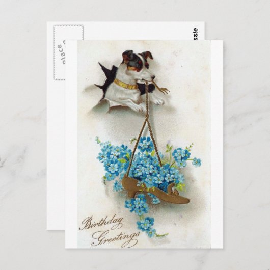 Carte Postale Chien mignon et chaussure voeux d'anniversaire (Devant / Derrière)