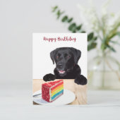Carte Postale Chien mignon Joyeux Anniversaire - Labrador Retrie (Debout devant)