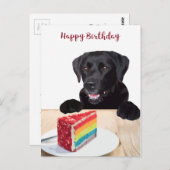 Carte Postale Chien mignon Joyeux Anniversaire - Labrador Retrie (Devant / Derrière)