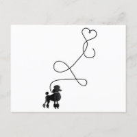 Chien mignon Poodle Coeur