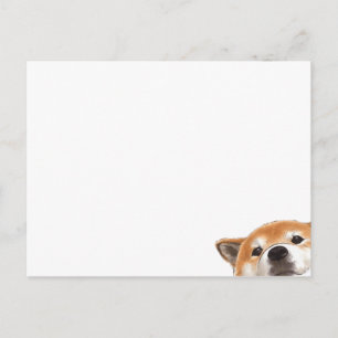Carte Postale Chien mignon qui regarde