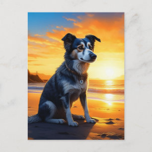 Carte Postale Chien mignon sur la plage au coucher du soleil D