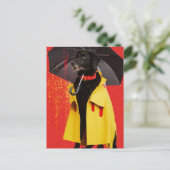 Carte Postale Chien noir dans un imperméable jaune (Debout devant)