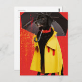 Carte Postale Chien noir dans un imperméable jaune (Devant / Derrière)