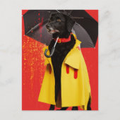 Carte Postale Chien noir dans un imperméable jaune (Devant)