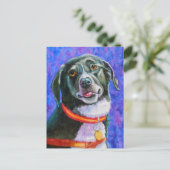 Carte Postale Chien noir Framboise (Debout devant)