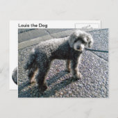 Carte Postale Chien nommé Louis Postcard (Devant / Derrière)