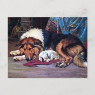 Carte Postale Chien orphelin avec Collie Art Vintage