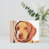 Carte Postale Chien patient (Debout devant)