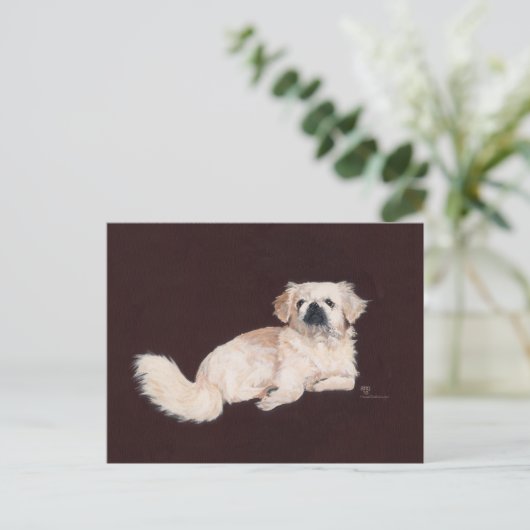 Carte Postale Chien pekingese blanc (Debout devant)