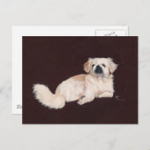 Carte Postale Chien pekingese blanc (Devant / Derrière)