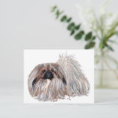 Carte Postale Chien Pékinois Debout (Debout devant)