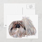 Carte Postale Chien Pékinois Debout (Devant / Derrière)