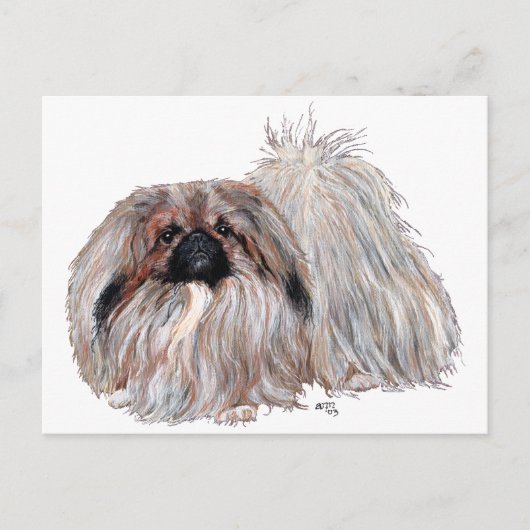 Carte Postale Chien Pékinois Debout (Devant)