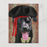 Chien pirate du Labrador noir