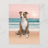 Carte Postale Chien Pitbull Mignon Assis sur la Plage au coucher (Devant)