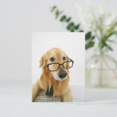 Carte Postale Chien portant cravate et lunettes assis sur la cha (Debout devant)