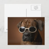 Carte Postale Chien portant des lunettes de soleil (Devant / Derrière)