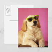 Carte Postale Chien portant des lunettes de soleil 2 (Devant / Derrière)
