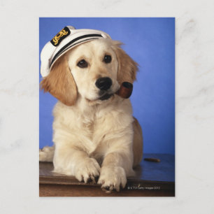 Carte Postale Chien portant une casquette, tenant une pipe à fum