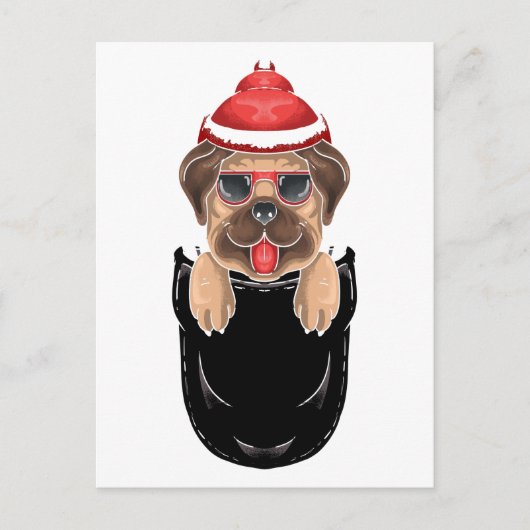 Carte Postale Chien Pug Mignon Assis dans une Poche (Devant)