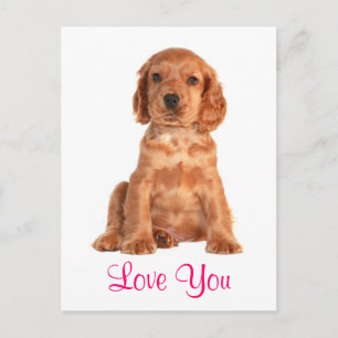 Carte postale Chien Puppy Cocker Spaniel Je T'aime
