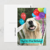 Carte Postale Chien Retriever doré avec ballons Anniversaire (Devant / Derrière)