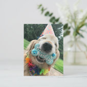 Carte Postale Chien Retriever doré avec friandise Joyeux Anniver (Debout devant)