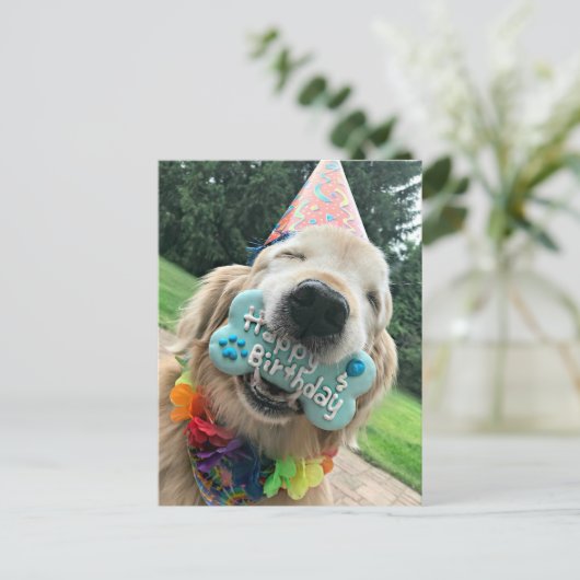 Carte Postale Chien Retriever doré avec friandise Joyeux Anniver (Debout devant)