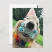 Carte Postale Chien Retriever doré avec friandise Joyeux Anniver (Devant / Derrière)