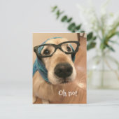 Carte Postale Chien Retriever Doré Avec Lunettes Anniversaire En (Debout devant)