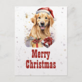 Carte Postale Chien retriever doré de Noël Aquarelle (Devant)