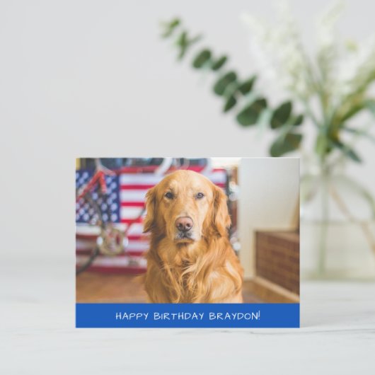Carte Postale Chien Retriever doré mignon (Debout devant)