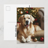 Carte Postale Chien Retriever doré Noël (Devant / Derrière)