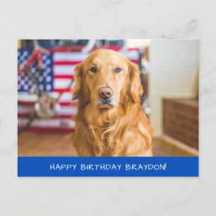 Carte Postale Chien Retriever Golden Mignon