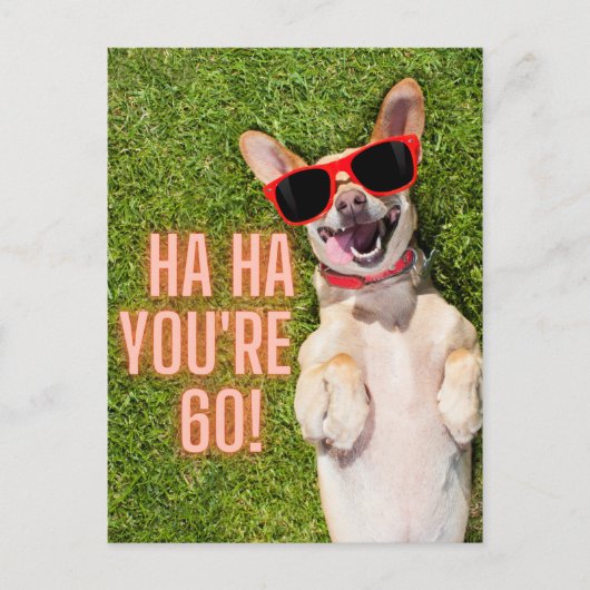 Carte Postale Chien riant 60e anniversaire (Devant)