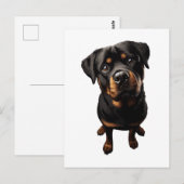 Carte Postale chien rottweiler (Devant / Derrière)