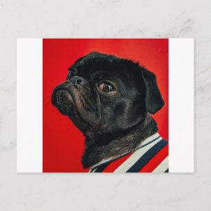 Carte Postale chien rouge